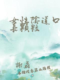 女性阴道口周围长颗粒