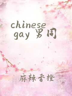 chinese gay 男同