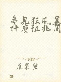 梦见狂风暴雨是什么征兆周公解梦