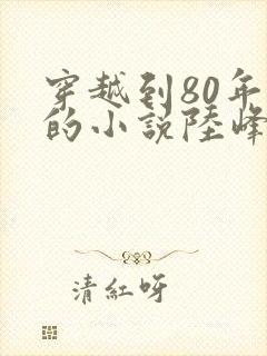 穿越到80年代的小说陆峰