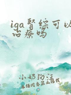 iga肾综可以治疗吗