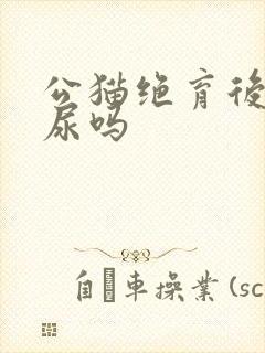 公猫绝育后会闭尿吗