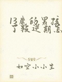 13岁的男孩到了叛逆期怎麽教