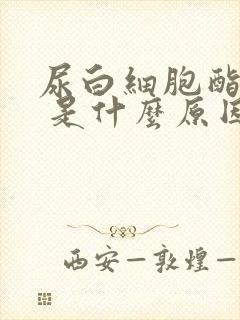 尿白细胞酯酶3 是什么原因