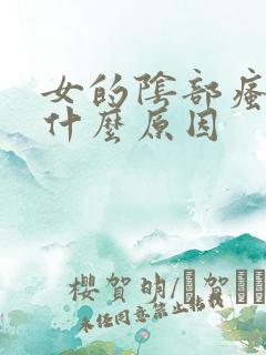 女的阴部瘙痒是什么原因