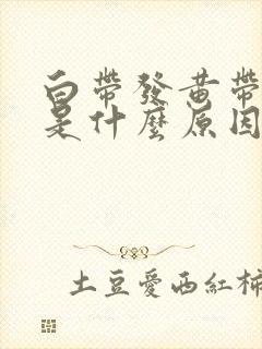 白带发黄带酸味是什么原因