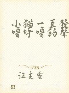 小猫一直发出呼噜呼噜的声音是什么原因