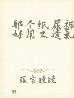 那个纸尿裤牌子好用又透气