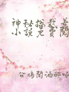 神秘总裁惹不起小说免费阅读