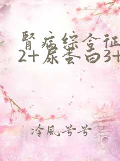 肾病综合征潜血2+尿蛋白3+