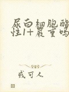 尿白细胞酯酶阳性1+严重吗