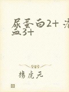 尿蛋白2+ 潜血3+