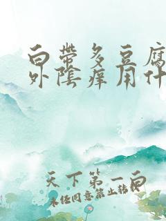 白带多豆腐渣状外阴痒用什么药