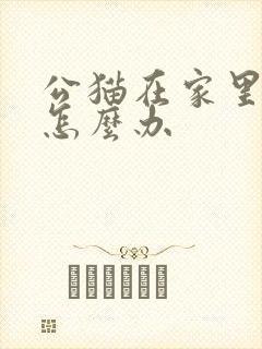 公猫在家里乱尿怎么办