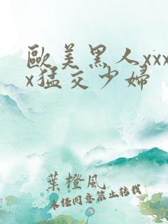 欧美黑人xxxx猛交少妇