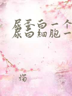 尿蛋白一个加号尿白细胞一个加号