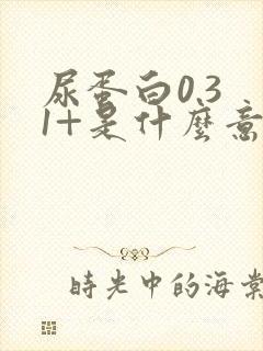 尿蛋白0.3 1+是什么意思