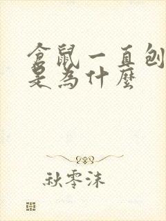 仓鼠一直刨尿沙是为什么