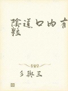 阴道口内有小肉粒