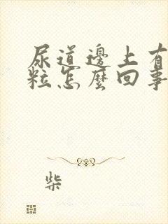 尿道边上有小肉粒怎么回事