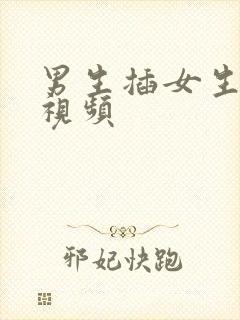 男生插女生阴部视频