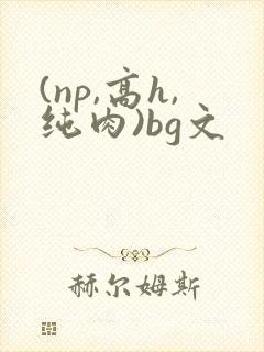 (np,高h,纯肉)bg文