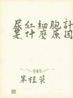 尿红细胞计数高是什么原因