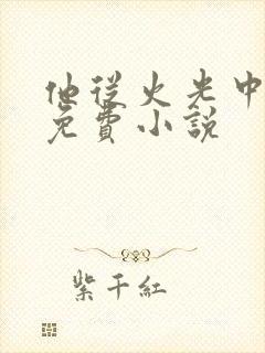 他从火光中走来免费小说