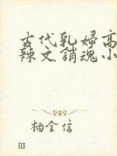 古代乳妇高h肉辣文销魂小妾