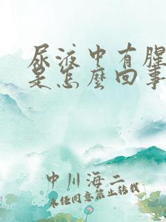 尿液中有腥臭味是怎么回事