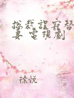 总裁误宠替身甜妻 电视剧