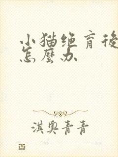 小猫绝育后乱尿怎么办