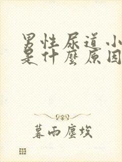 男性尿道小水泡是什么原因