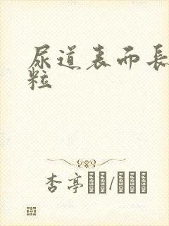 尿道表面长小肉粒