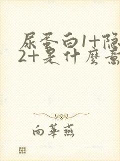 尿蛋白1+隐血2+是什么意思