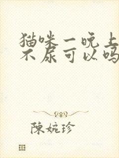 猫咪一晚上不拉不尿可以吗