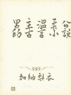 男主温柔公子型的古言小说