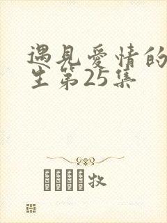 遇见爱情的利先生第25集