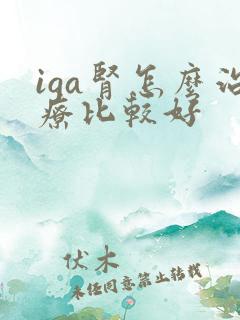 iga肾怎么治疗比较好