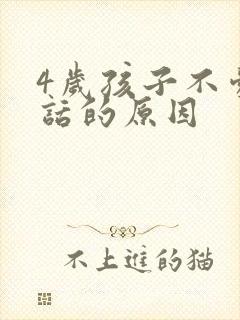 4岁孩子不爱说话的原因