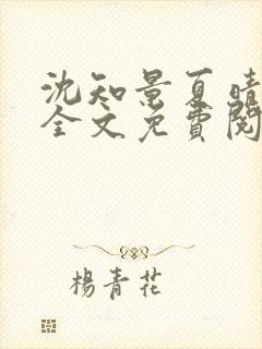 沈知景夏晴小说全文免费阅读