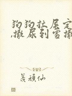 狗狗拉屎定点拉,撒尿到处撒怎么办