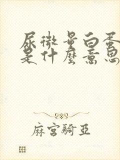 尿微量白蛋白+是什么意思