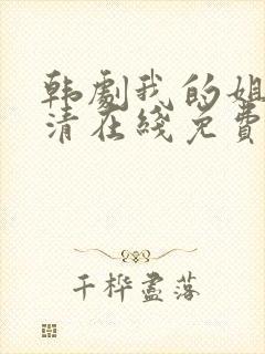 韩剧我的姐姐高清在线免费观看