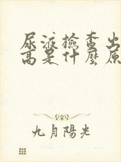 尿液检查出细菌高是什么原因