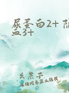 尿蛋白2+ 隐血3+