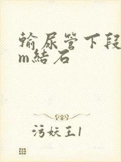 输尿管下段8mm结石