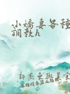 小娇妻各种姿势调教h