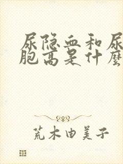 尿隐血和尿红细胞高是什么原因