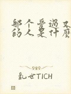 那个爱过又离开的人是什么歌